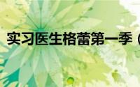实习医生格蕾第一季（实习医生格蕾第6季）
