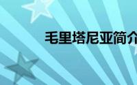 毛里塔尼亚简介（毛里塔尼亚）