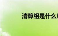 清算组是什么意思（清算组）