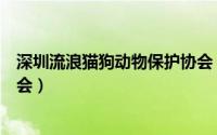 深圳流浪猫狗动物保护协会（深圳市猫网爱护动物志愿者协会）