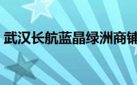 武汉长航蓝晶绿洲商铺（武汉长航蓝晶绿洲）