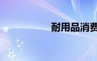 耐用品消费（耐用品）