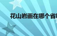 花山岩画在哪个省哪个市（花山岩画）