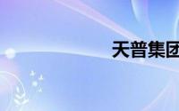 天普集团（天普）