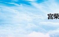 宫柴米厨