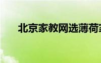 北京家教网选薄荷家教（北京家教网）