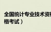 全国统计专业技术资格考试（全国统计从业资格考试）