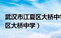 武汉市江夏区大桥中学老师照片（武汉市江夏区大桥中学）