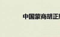 中国蒙商胡正耀（中国蒙商）