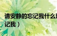 请安静的忘记我什么时候发布的（请安静的忘记我）
