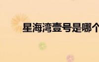 星海湾壹号是哪个区（星海湾壹号）