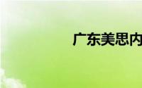广东美思内衣有限公司