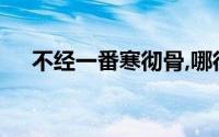 不经一番寒彻骨,哪得梅花扑鼻香的意思