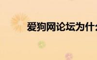 爱狗网论坛为什么关闭（爱狗网）