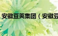 安徽豆荚集团（安徽豆荚网络科技有限公司）