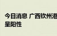 今日消息 广西钦州港发现冷冻海鲜1混管样本呈阳性