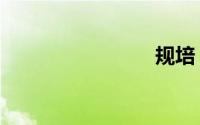 规培（规）