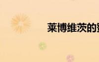 莱博维茨的赞歌（莱博）