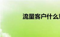 流量客户什么意思（流量客）
