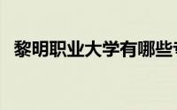 黎明职业大学有哪些专业（黎明职业大学）