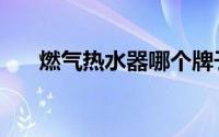 燃气热水器哪个牌子好（燃气热水器）