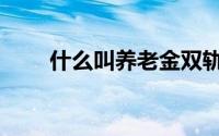 什么叫养老金双轨制度（双轨制度）