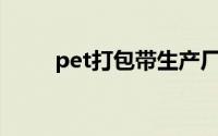 pet打包带生产厂家（PET打包带）