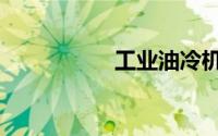 工业油冷机（工业油）