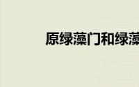 原绿藻门和绿藻门（原绿藻门）