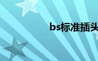 bs标准插头（BS标准）