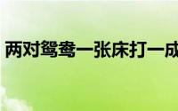 两对鸳鸯一张床打一成语（两对鸳鸯一张床）