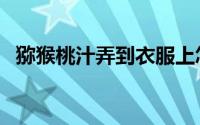 猕猴桃汁弄到衣服上怎么洗掉（猕猴桃汁）