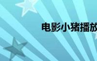 电影小猪播放（小猪影音）