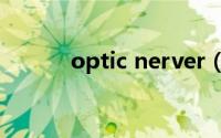 optic nerver（Optic Nerve）