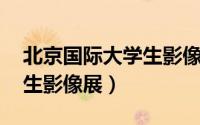北京国际大学生影像展 大鱼（北京国际大学生影像展）
