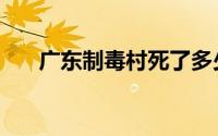 广东制毒村死了多少人（广东制毒村）