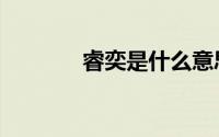 睿奕是什么意思（睿奕互联）