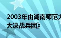 2003年由湖南师范大学出版社出版的书籍《大决战兵团》