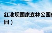 红池坝国家森林公园住宿（红池坝国家森林公园）