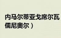 内马尔蒂亚戈席尔瓦（内马尔达席尔瓦桑托斯儒尼奥尔）