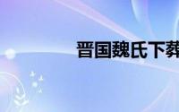 晋国魏氏下葬（晋国魏氏）