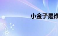 小金子是谁（小金子）