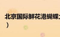 北京国际鲜花港蝴蝶大世界（北京国际鲜花港）