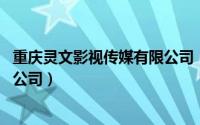 重庆灵文影视传媒有限公司（新文网 重庆影视文化传媒有限公司）