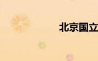 北京国立美术学院