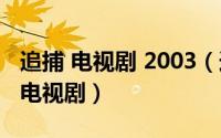 追捕 电视剧 2003（追捕 2003年陈国军执导电视剧）