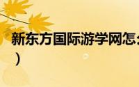 新东方国际游学网怎么样（新东方国际游学网）