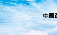 中国家电城