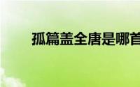 孤篇盖全唐是哪首诗（孤篇盖全唐）