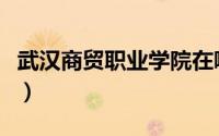 武汉商贸职业学院在哪里（武汉商贸职业学院）